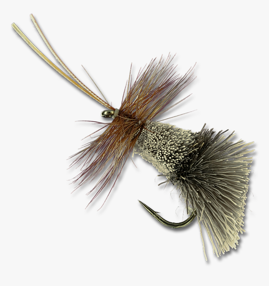 Goddard Caddis - Animal, HD Png Download