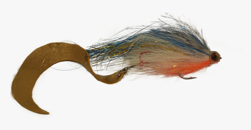 Flies June 2019 5, HD Png Download