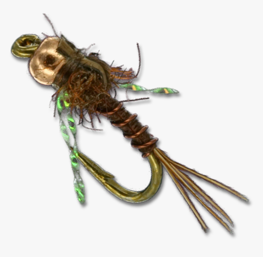 Hogan S S&m Nymph - Hogan's S&m Fly, HD Png Download