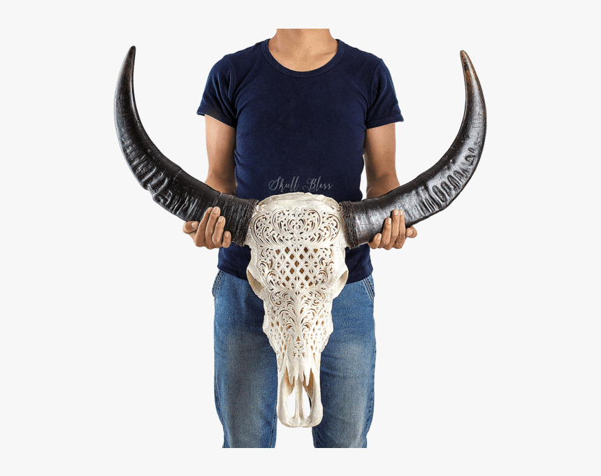 Carved Buffalo Skull - Trophy Skull Carve, HD Png Download