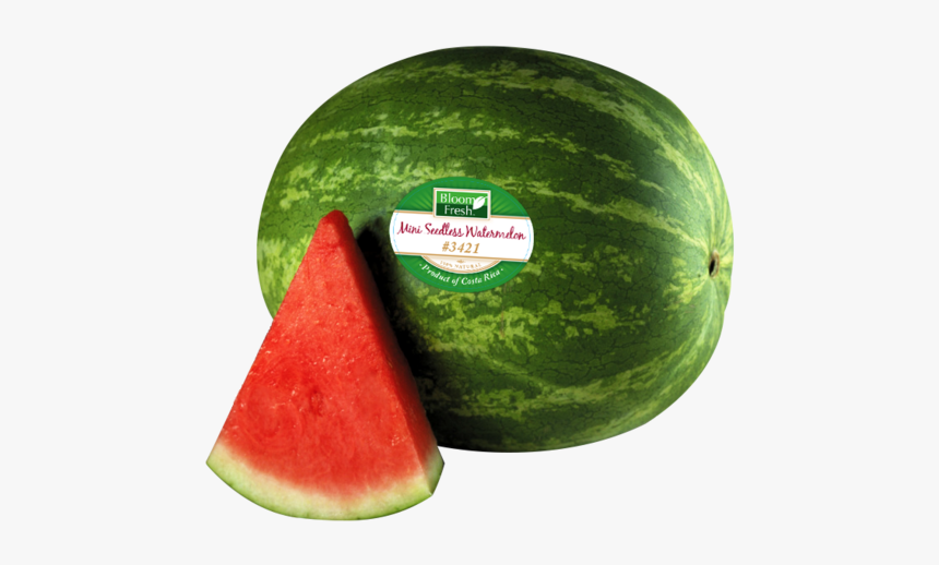 Watermelon Png Transparent Images - Watermelon Clip Art, Png Download