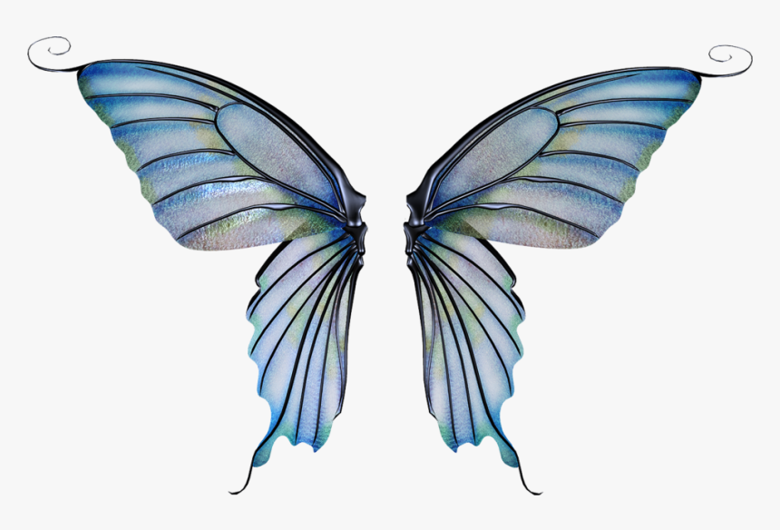 Transparent Background Fairy Wings Png, Png Download