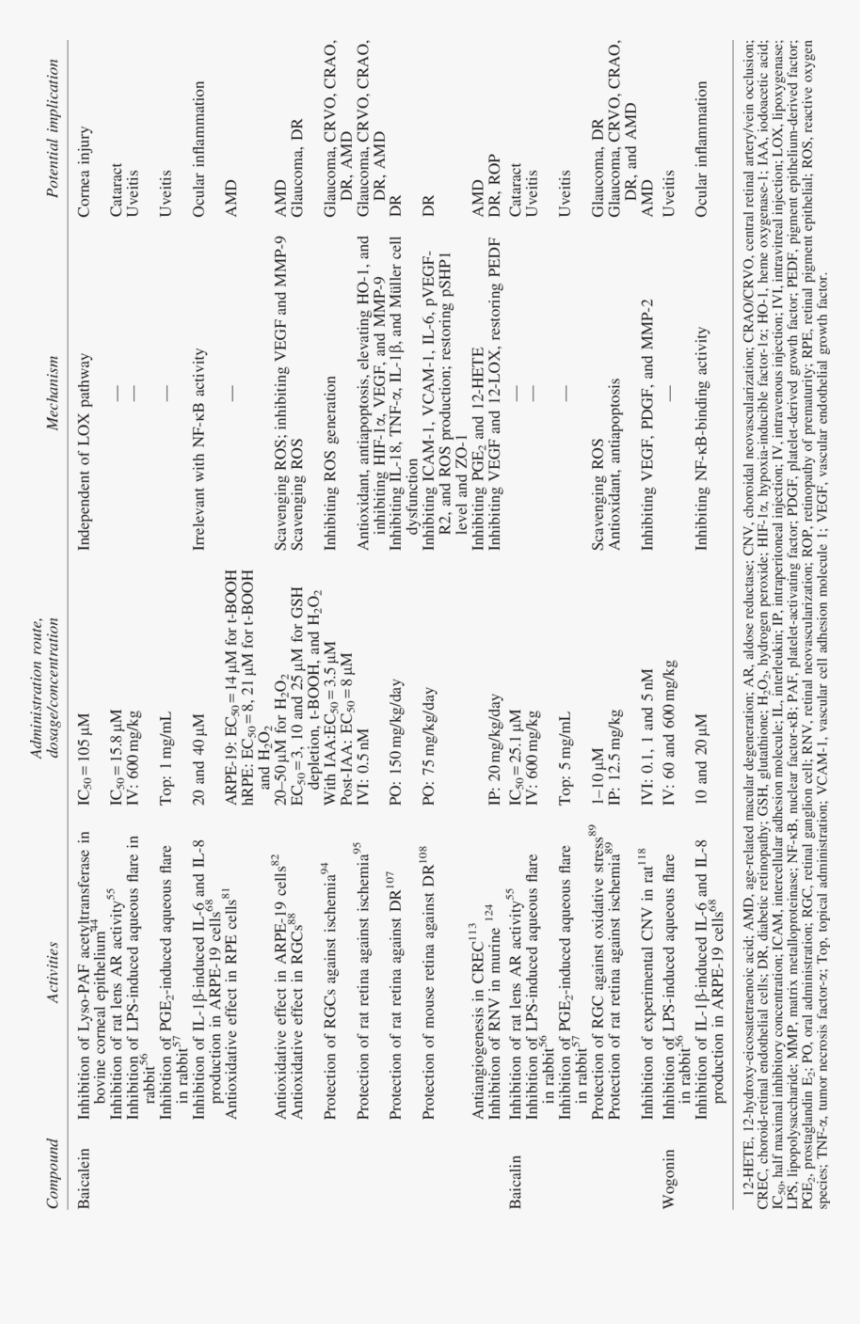 Document, HD Png Download