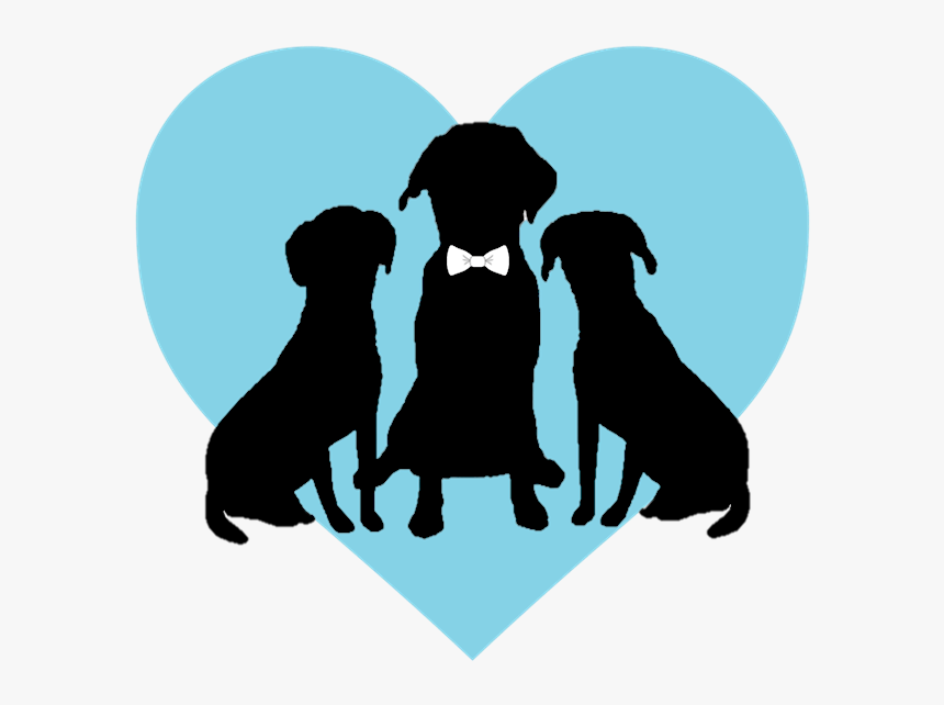 Dog Sitting Png, Transparent Png