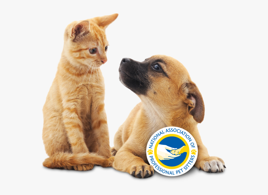 National Cook For Your Pets Day, HD Png Download