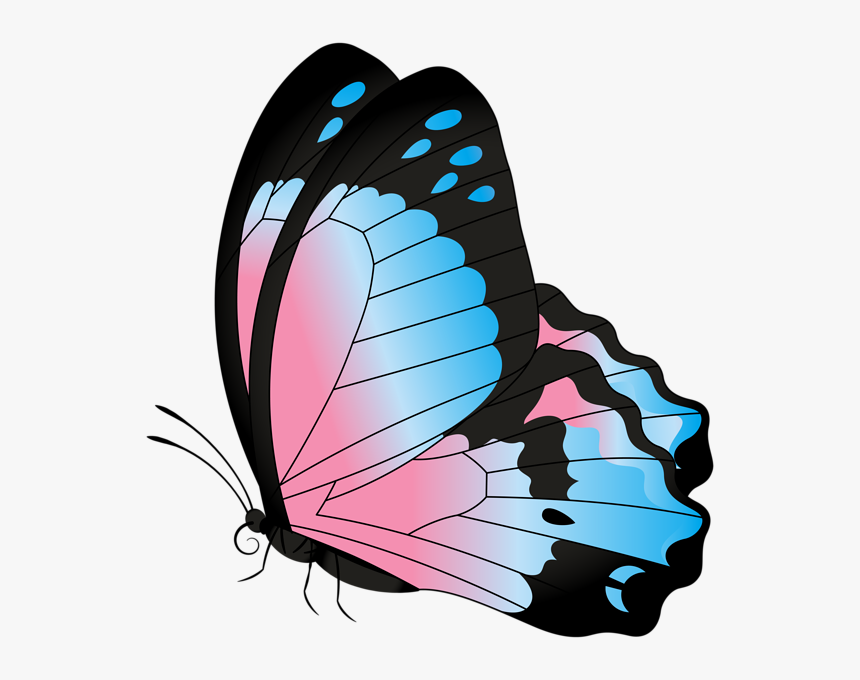 Butterfly Clip Art Transparent, HD Png Download