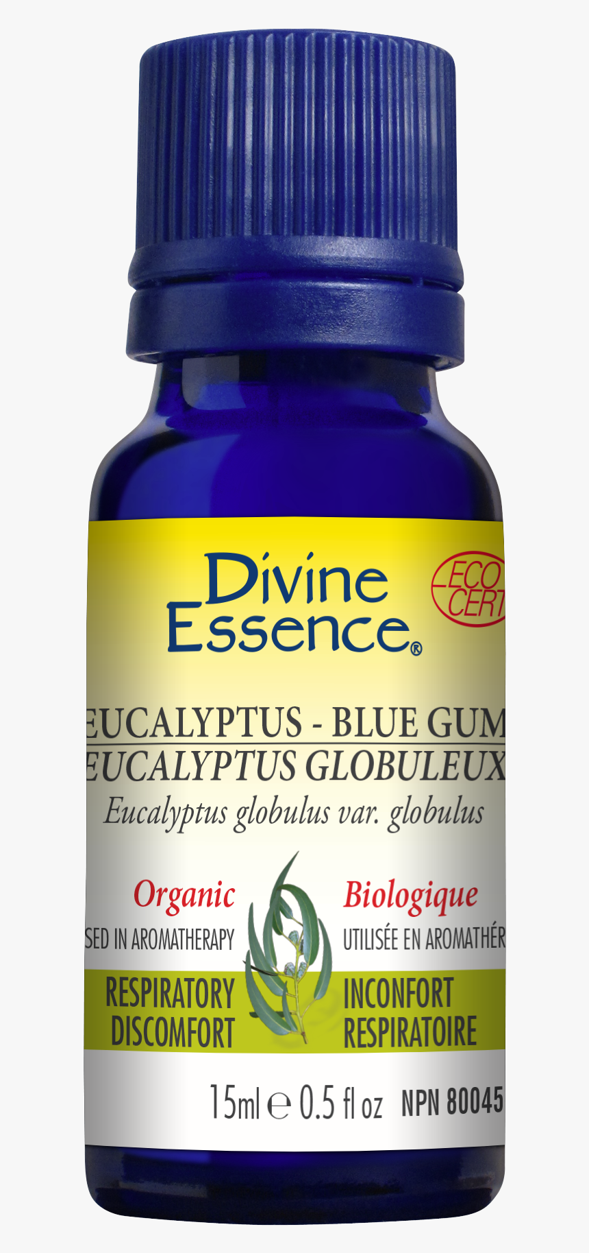 Divine Essence Eucalyptus Radiata, HD Png Download
