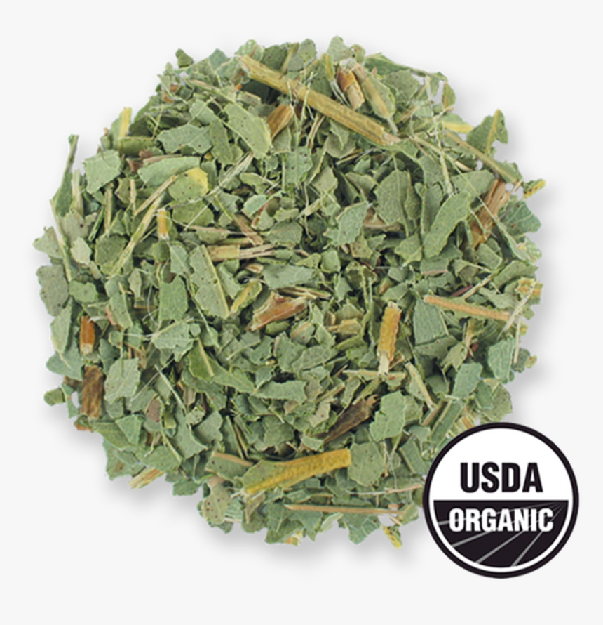 Organic Eucalyptus Leaf Whole Herb From The Jasmine - Common Sage, HD Png Download