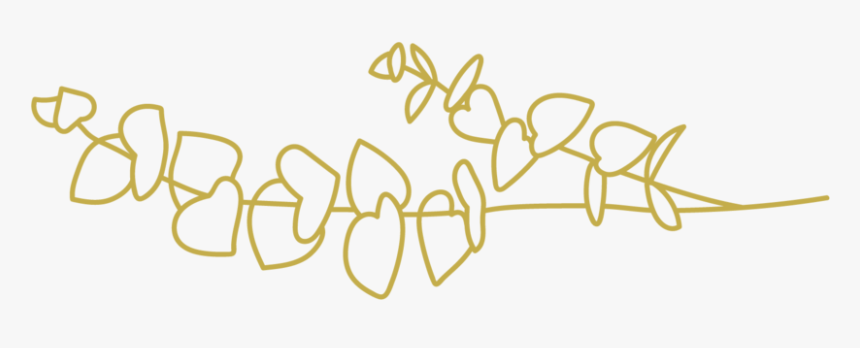 Eucalyptus - Calligraphy, HD Png Download