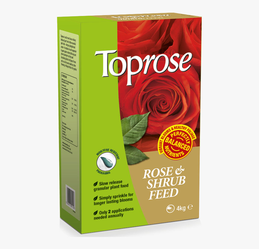 Rose, HD Png Download