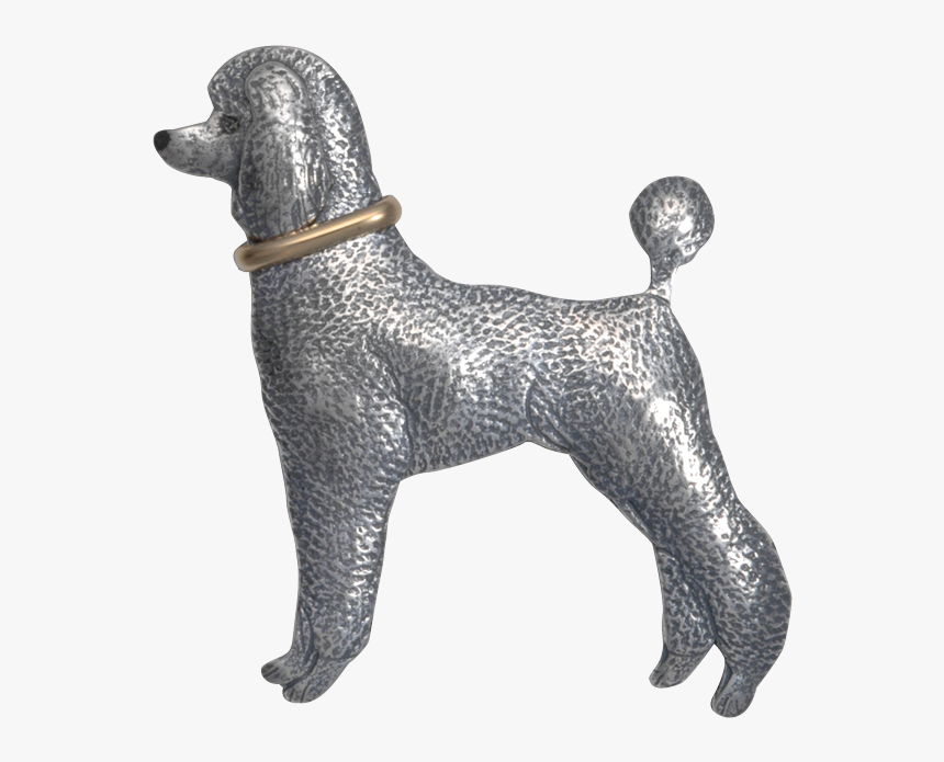P0775-sf0 - Standard Poodle, HD Png Download
