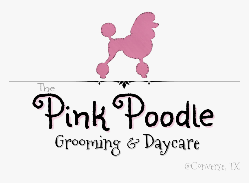Miniature Poodle, HD Png Download
