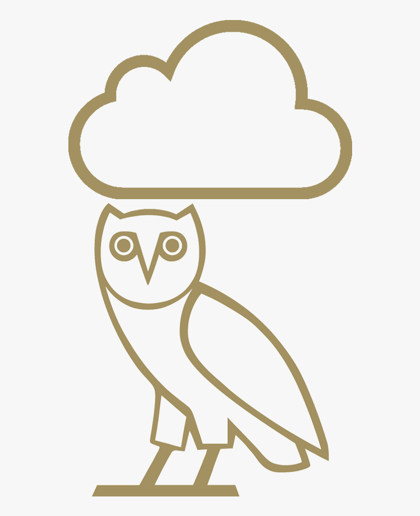 Curate An Ovo Playlist Based On The Current Weather - Transparent Ovo Owl Png, Png Download