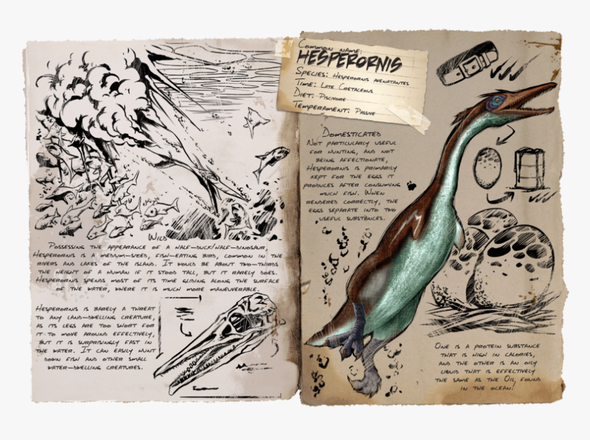 Ark Survival Evolved Hesperornis, HD Png Download