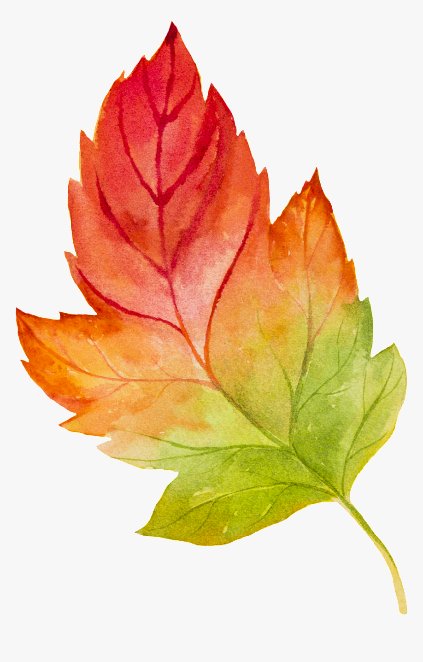 Transparent Vector Leaves Png - 水彩 樹葉, Png Download