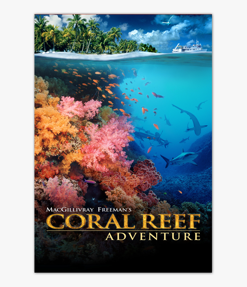 Coral Reef Adventure [blu-ray] - Macgillivray Freeman Coral Reef Adventure, HD Png Download