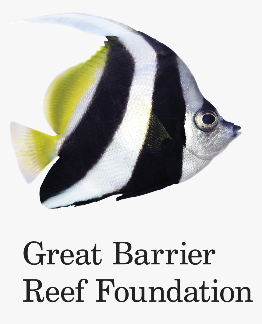 Great Barrier Reef Foundation Logo, HD Png Download