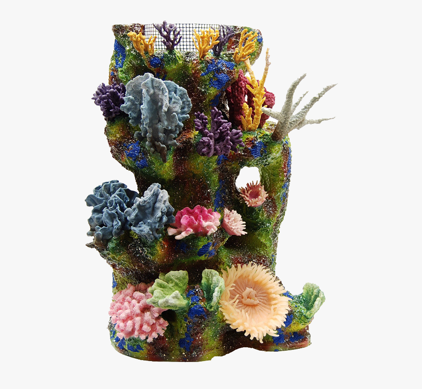 Transparent Coral Reef Clipart - Artificial Coral Wall, HD Png Download