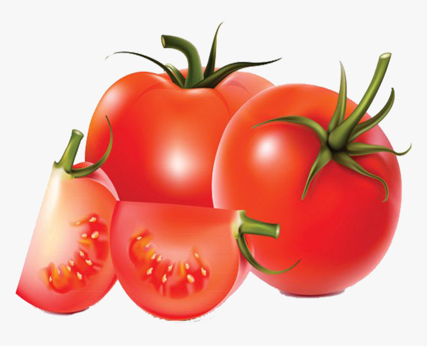 Royalty Free Stock Tomato Vegetable Transprent Png - Tomates Vector Png, Transparent Png