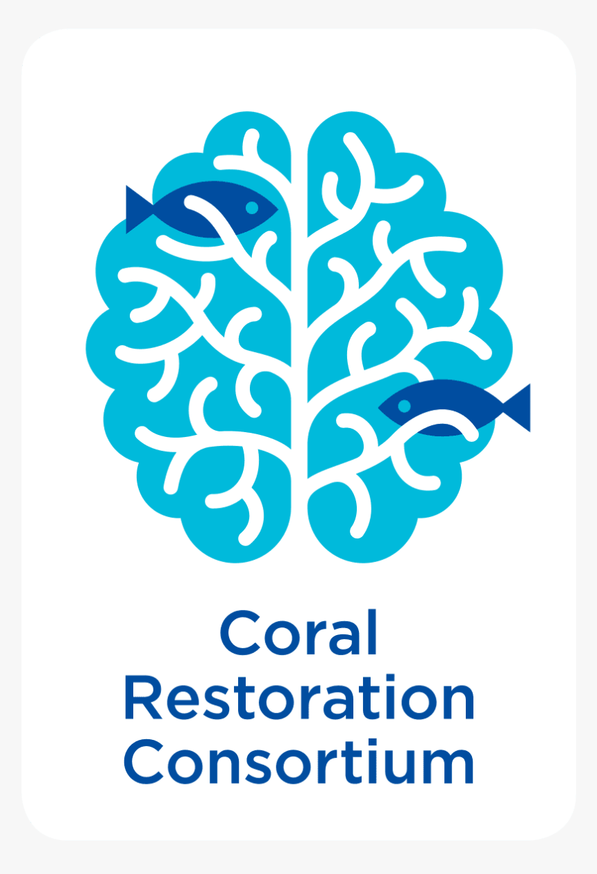 Coral Restoration Consortium, HD Png Download