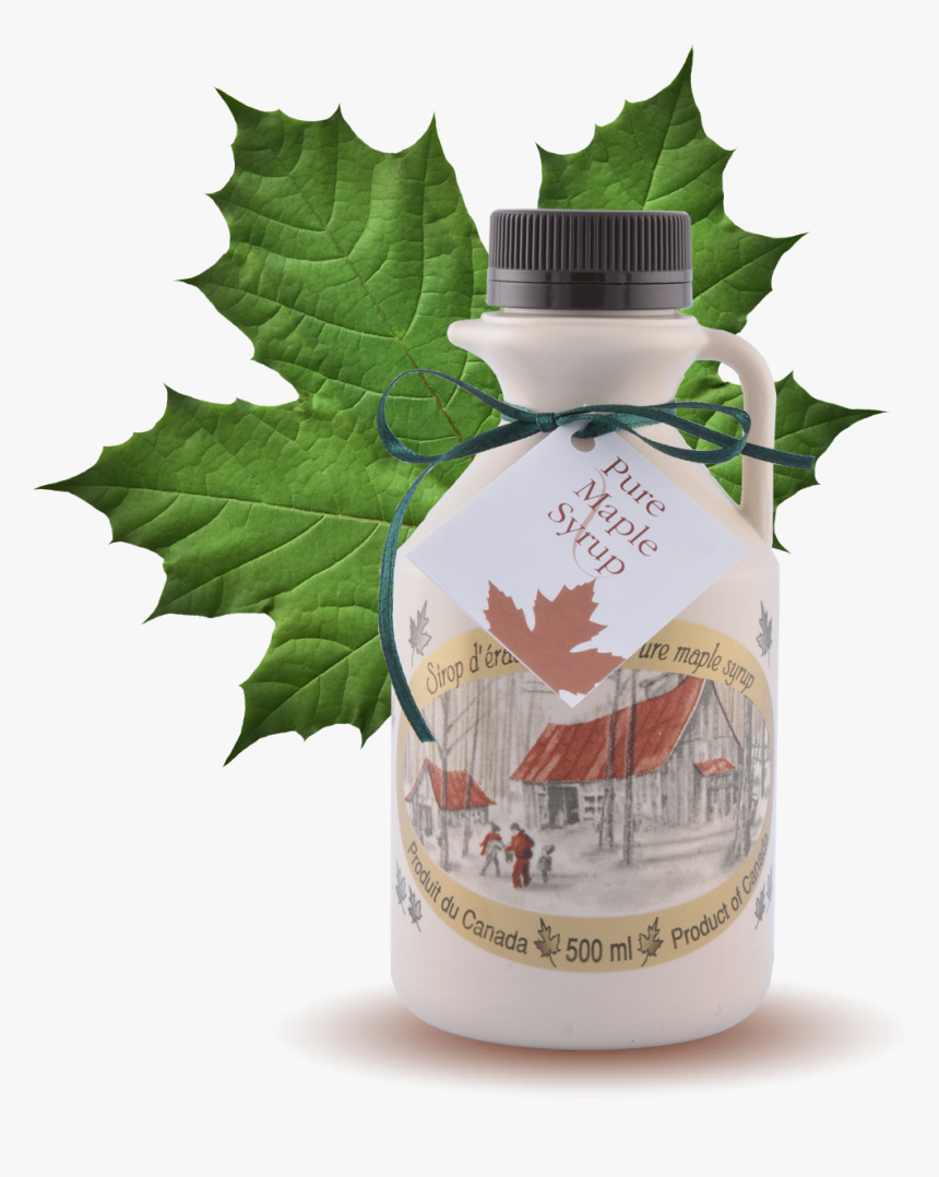Maple Syrup Pint, 500ml - Maple Syrup Maple Leaf Canada Souvenirs, HD Png Download