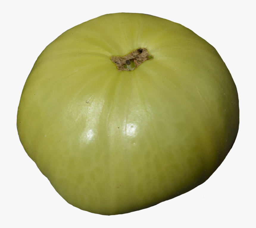 Green Tomato Clipart Apple, HD Png Download , Transparent Png Image