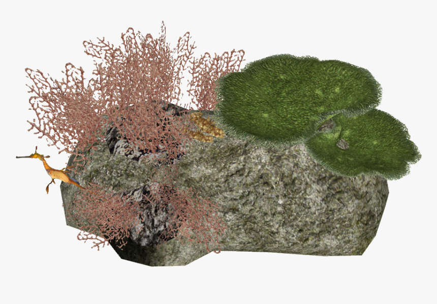 Animatedreef 2 Zerosvalmont - Moss, HD Png Download