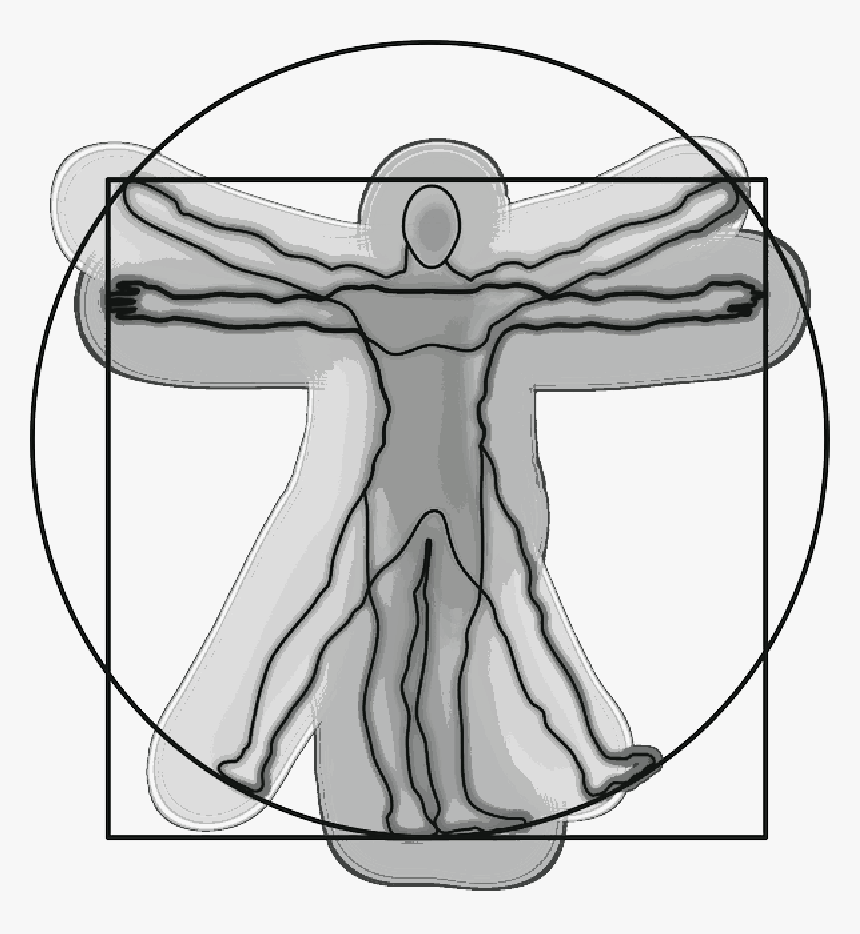 Vitruvian Man, Anatomy, Science, Leonardo Da Vinci - Vitruvian Man, HD Png Download