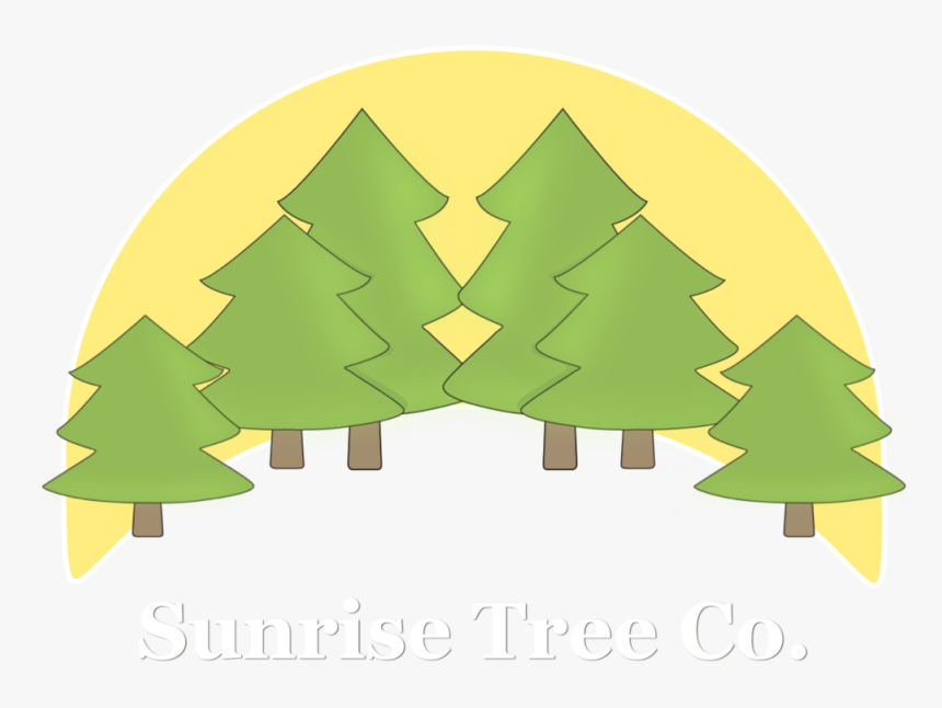 Christmas Tree, HD Png Download