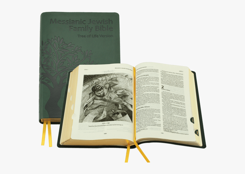 Tlv Messianic Jewish Family Bible - Novel, HD Png Download