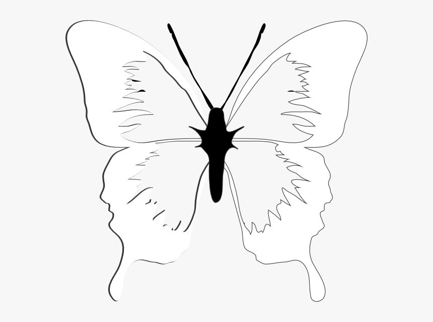 Laver And Wood Butterfly, HD Png Download