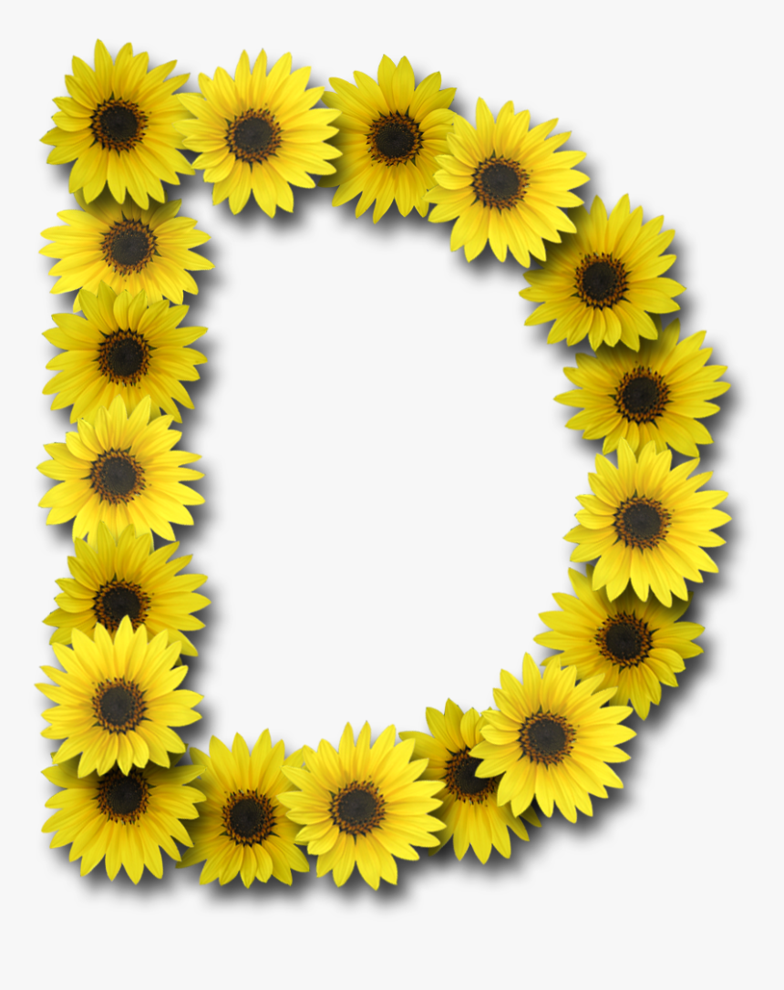 Capital Letter D Png - Letter O With Sunflowers, Transparent Png