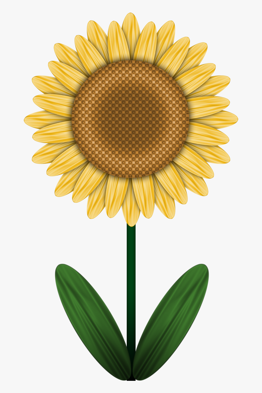Clip Shoes Sunflower - Brighton, HD Png Download