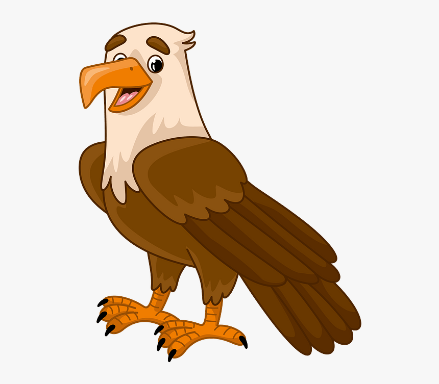 Bald Eagle, HD Png Download
