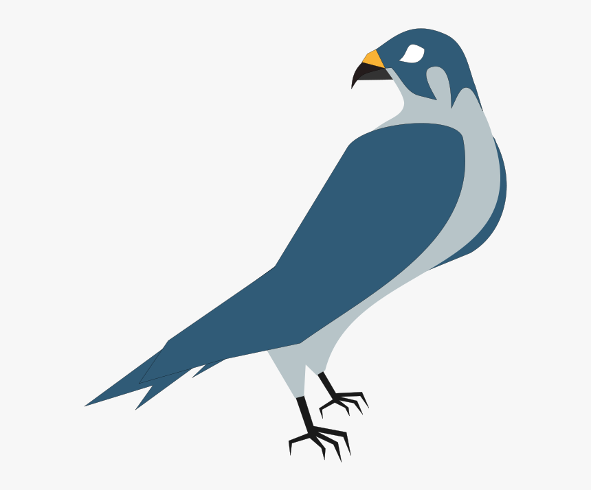 Hawk Clip Art Download - Hawk Clipart, HD Png Download