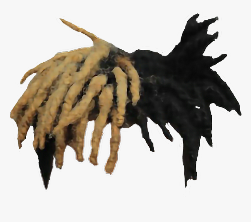 #freeedit #xxx #x #xxxtentacion #xxxtentacionrip #hair - Xxxtentacion Hair Transparent, HD Png Download