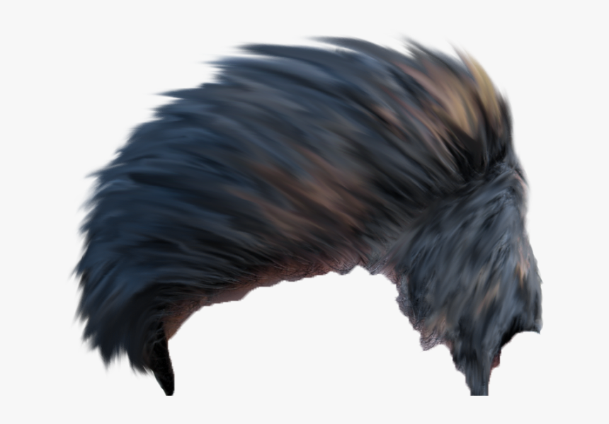 Full Hd Cb Hair Png Download Here New 2018 Hd Hair - Best Hair Png Download, Transparent Png