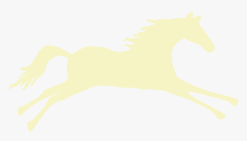 Stallion, HD Png Download