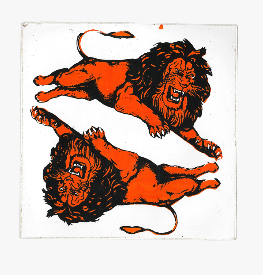 Lions - Siberian Tiger, HD Png Download