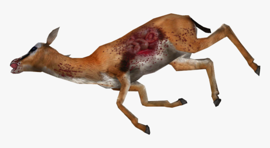 Dead Gazelle Dead Gazelle Png Transparent Png Transparent Png Image Pngitem