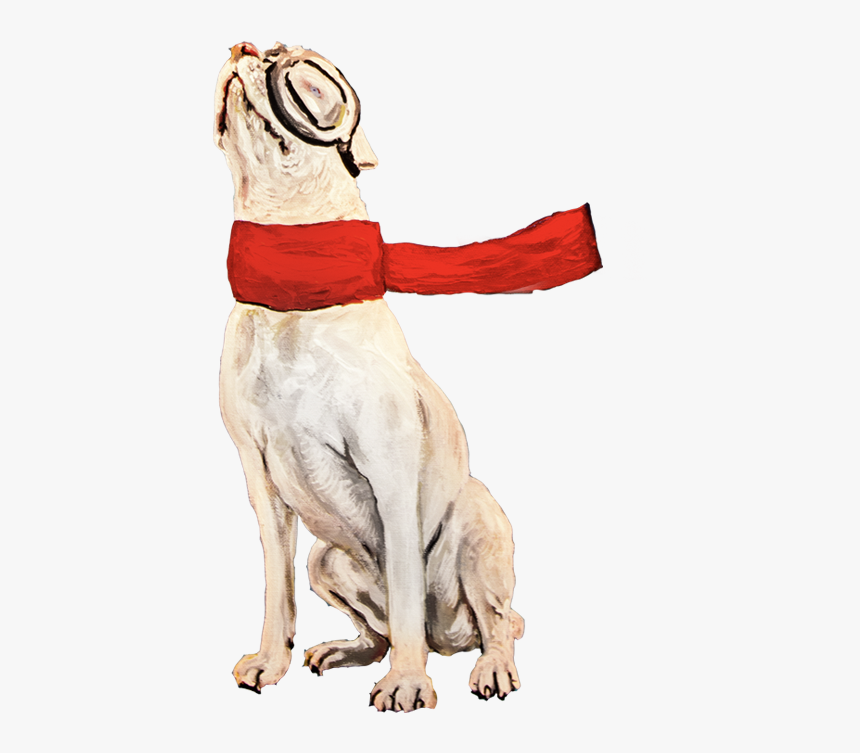 Ted - Dog Catches Something, HD Png Download
