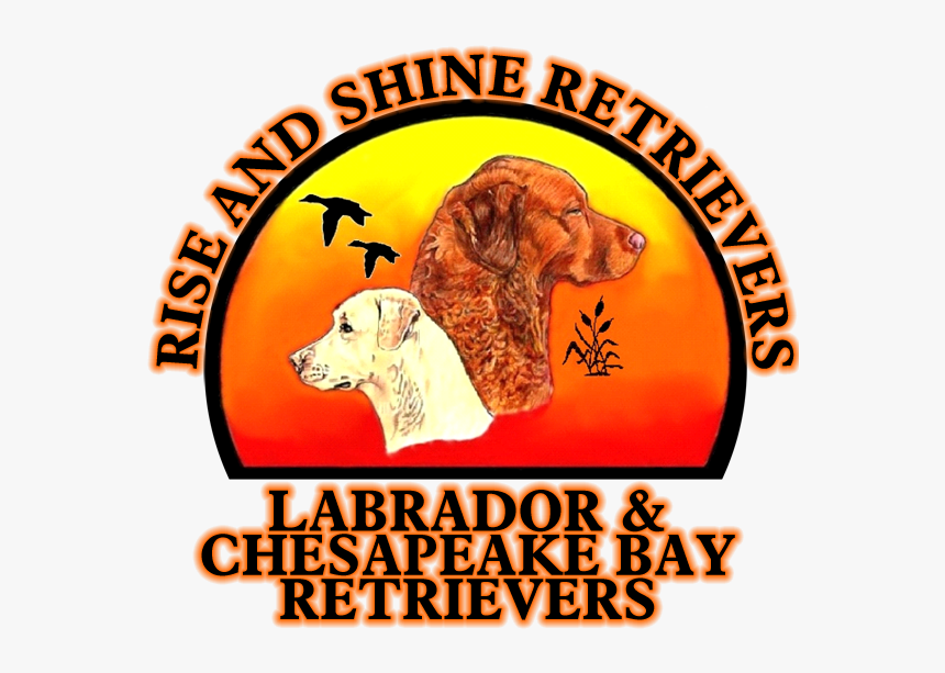 Us Army Seal, HD Png Download