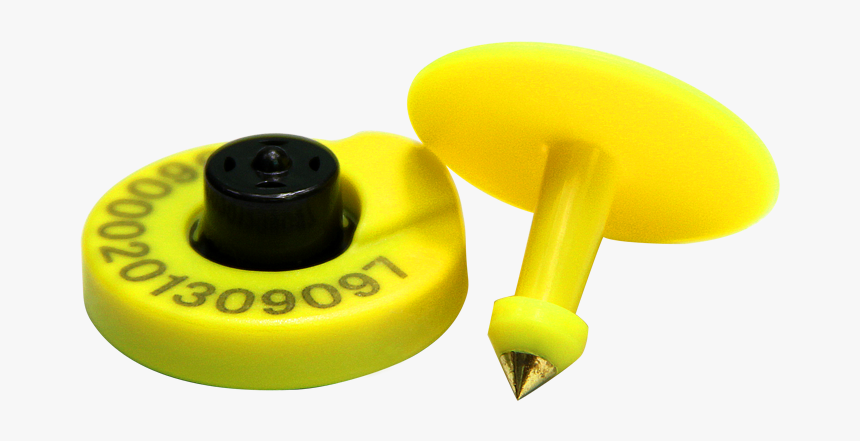 Rfid Animal Microchip Cow Ear Tag With Em4305 For Identifaction - תג אוזן אלקטרוני לפרות, HD Png Download
