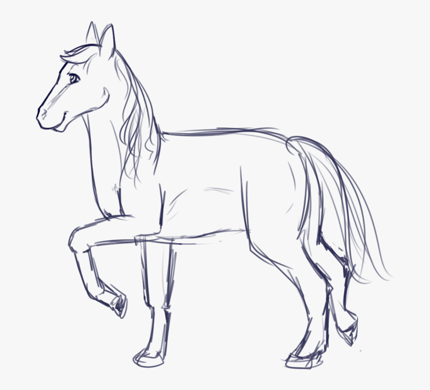 Finished Refs For Feathered Arrow - Line Art, HD Png Download