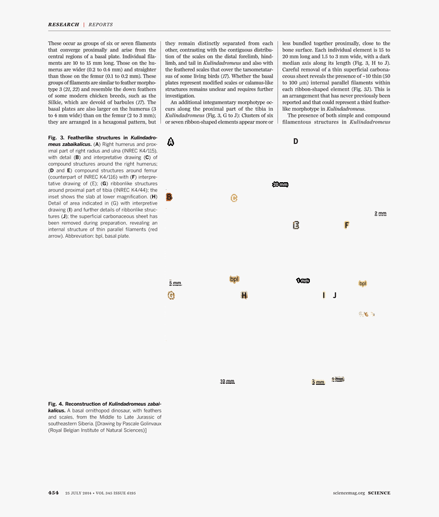 Document, HD Png Download