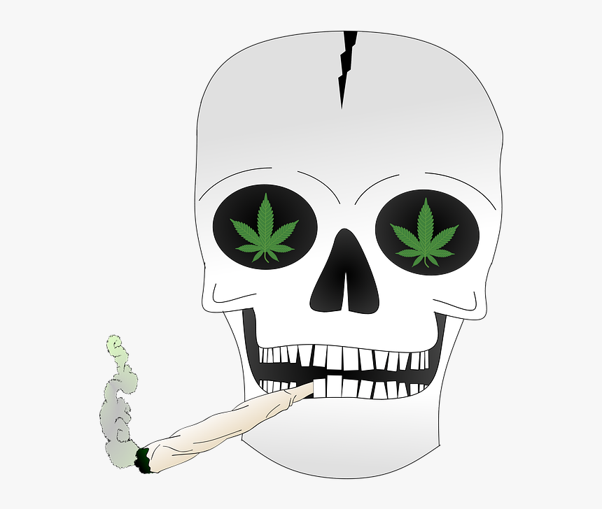 Skull, HD Png Download