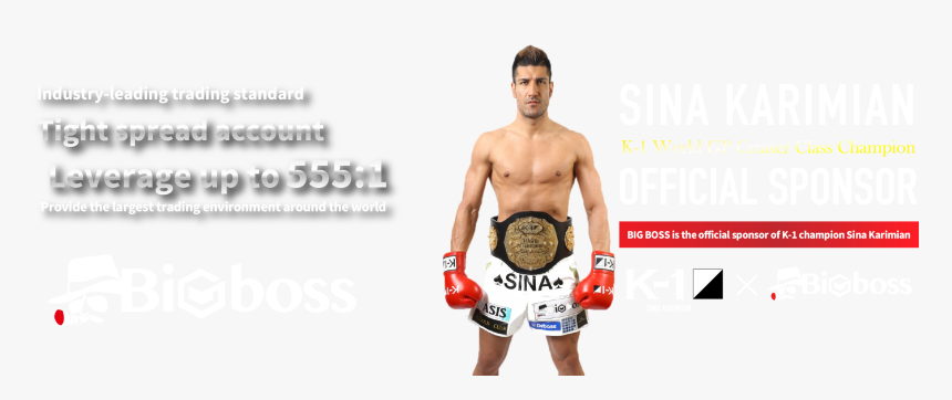 Sina Karimian - Professional Boxing, HD Png Download