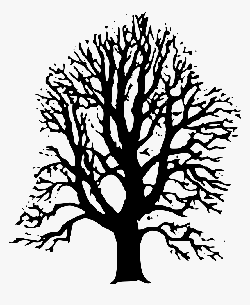 Transparent Tree Clipart Black And White - Lime Tree Clip Art, HD Png Download