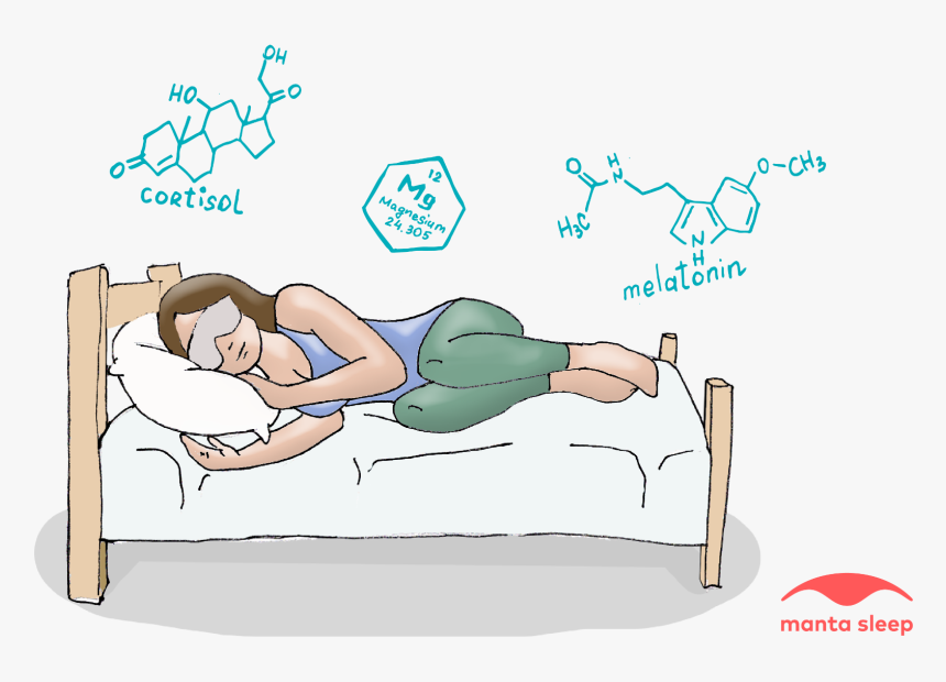 Placeholder - Sofa Bed, HD Png Download