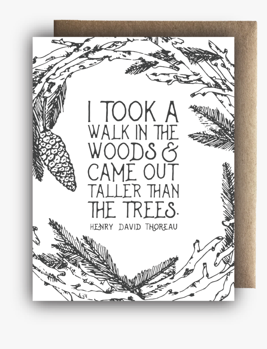 A Walk In The Woods Display Photo, HD Png Download